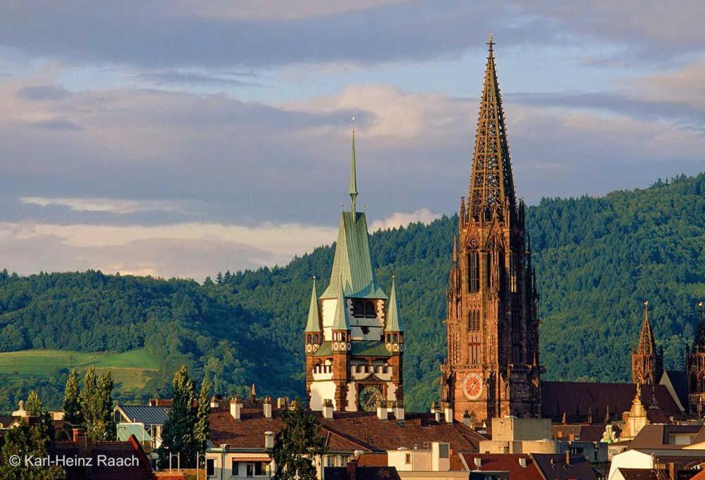 Ferienwohnung-Herbolzheim Buitenkant foto